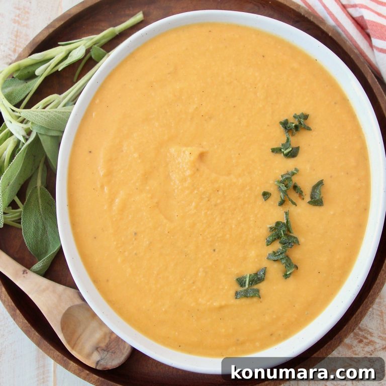 Creamy Roasted Butternut Squash Pasta Sauce Recipe 82 Creamy Roasted Butternut Squash Pasta Sauce Recipe
