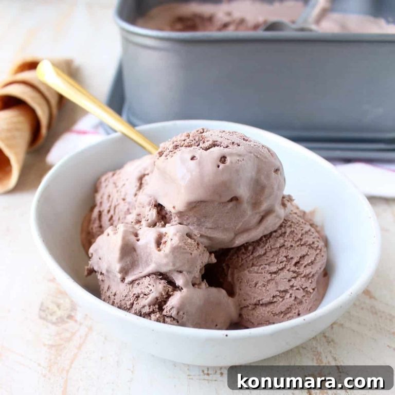 Creamy No Churn Chocolate Ice Cream Recipe