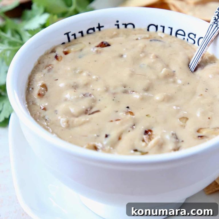 Creamy French Onion Queso Dip Recipe