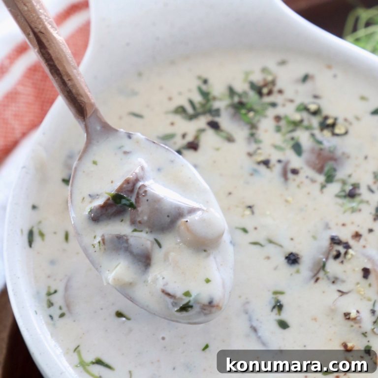 Velvety Cream of Mushroom Soup Recipe