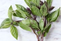 What Is Thai Basil and How to Use It in Recipes
