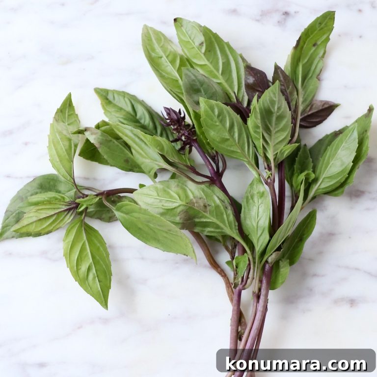 What Is Thai Basil and How to Use It in Recipes