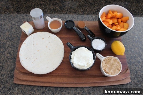 Apricot Dessert Tacos with Honey Lime Mascarpone 4 Apricot Rolled Taco Ingredients