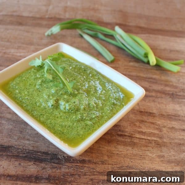 Arugula Green Onion Pesto