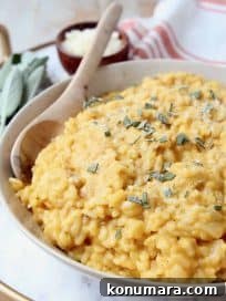 Butternut Squash Risotto