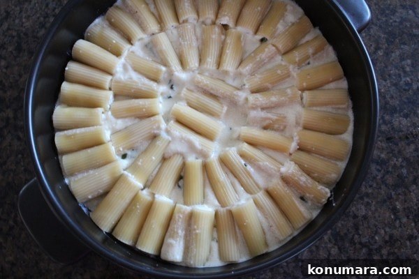 Cheese Filled Baked Rigatoni