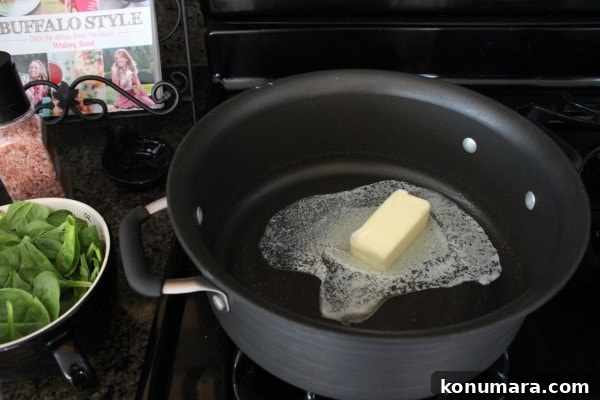 Spinach Alfredo Sauce Recipe