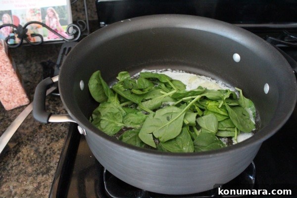 Spinach Alfredo Sauce Recipe