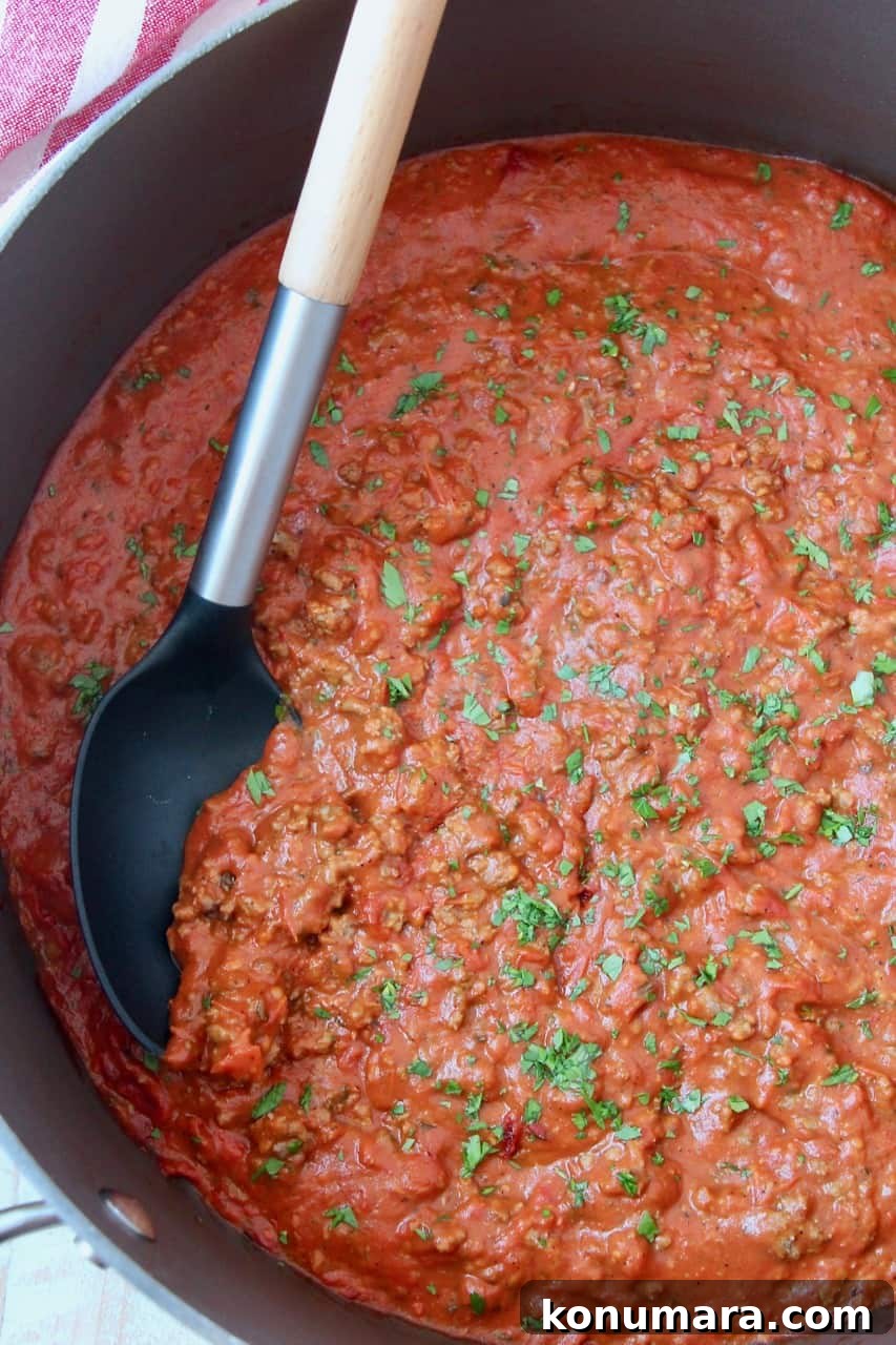 Italian meat sauce in large pot with serving spoon