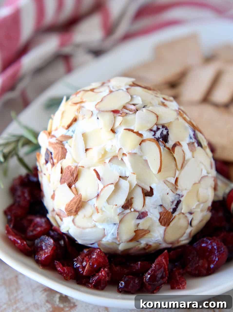Cranberry Goat Cheese Ball Recipe for Holiday Parties 2 Cheese ball on plate surrounded by dried cranberries and crackers