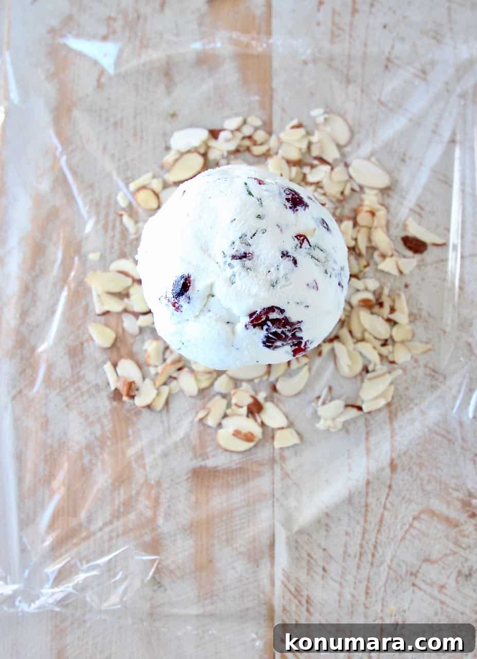 Cranberry Goat Cheese Ball Recipe for Holiday Parties 3 Image showing how to make a goat cheese ball