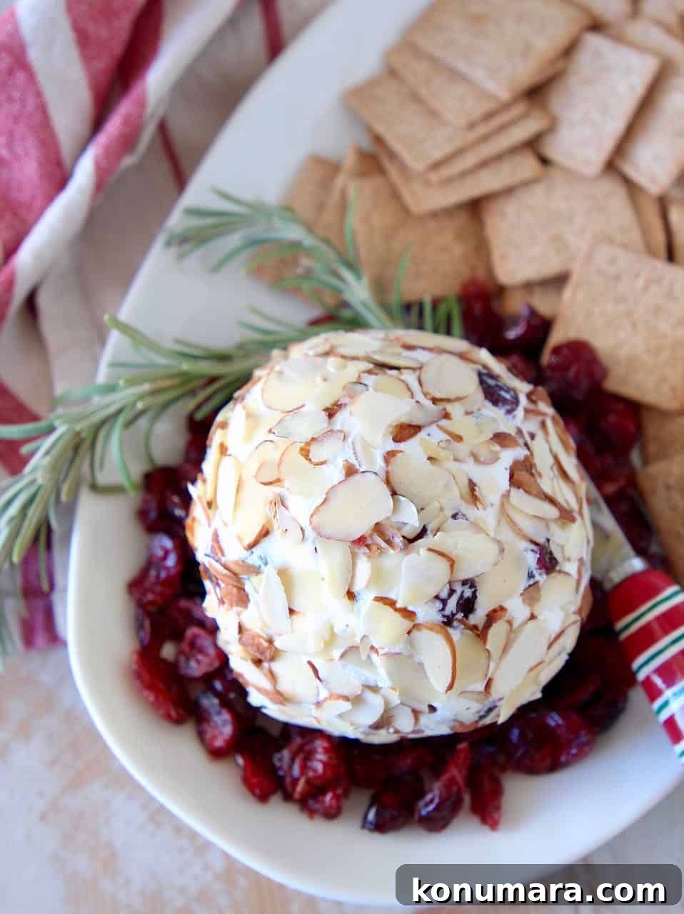 Cranberry Goat Cheese Ball Recipe for Holiday Parties 4 Goat cheese ball on plate with dried cranberries, rosemary sprigs and crackers