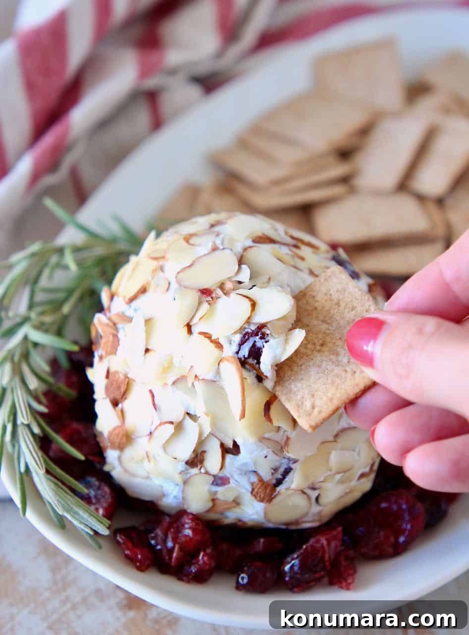Cranberry Goat Cheese Ball Recipe for Holiday Parties 5 Hand dipping cracker into cheese ball on plate
