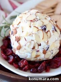 Cranberry Goat Cheese Ball Recipe for Holiday Parties 7 Goat cheese ball on plate surrounded by dried cranberries