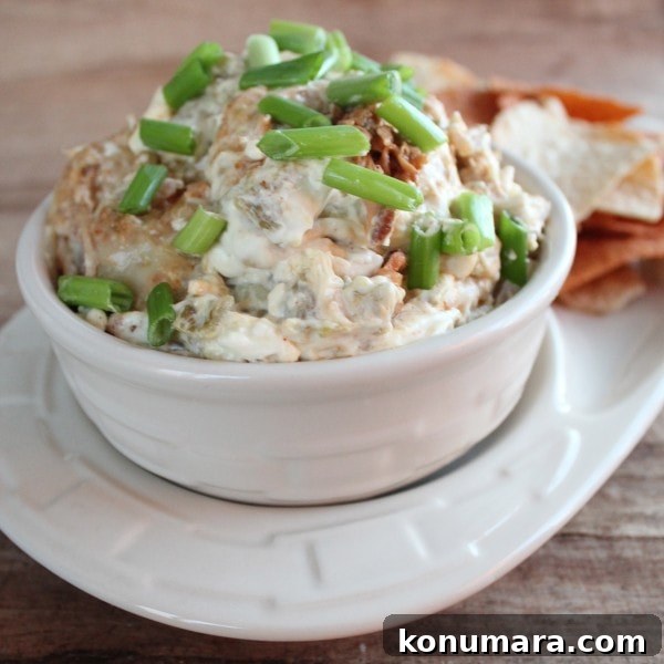 Pulled Pork Dip Recipe