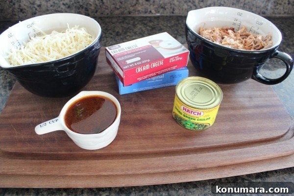 Chipotle Pulled Pork Dip Ingredients