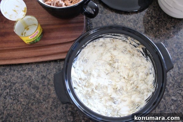 Cheesy Pulled Pork Dip Recipe