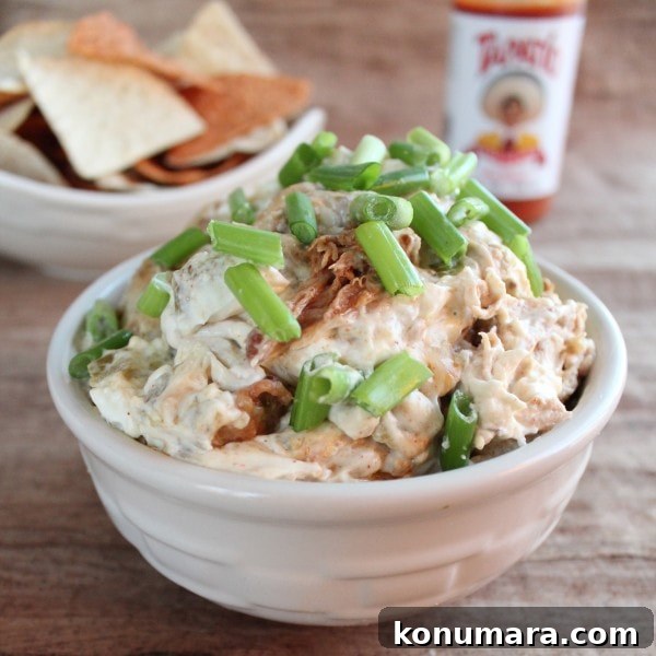 Chipotle Pulled Pork Dip