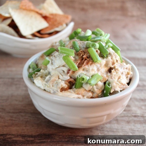 Creamy Pulled Pork Dip