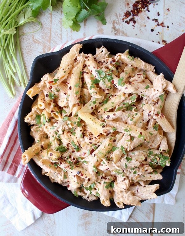 Cheesy Mexican Chicken Penne Pasta 2 Spicy Mexican Chicken Cheesy Penne Pasta is a simple recipe that is quick and easy to whip up for a weeknight dinner in under 30 minutes!