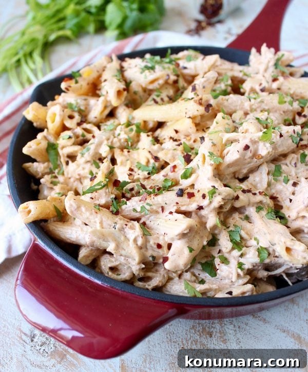 Cheesy Mexican Chicken Penne Pasta 3 Spicy Mexican Chicken Cheesy Penne Pasta is a simple recipe that is quick and easy to whip up for a weeknight dinner in under 30 minutes!