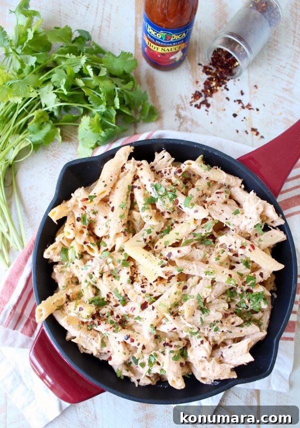 Cheesy Mexican Chicken Penne Pasta 6 Spicy Mexican Chicken Cheesy Penne Pasta is a simple recipe that is quick and easy to whip up for a weeknight dinner in under 30 minutes!