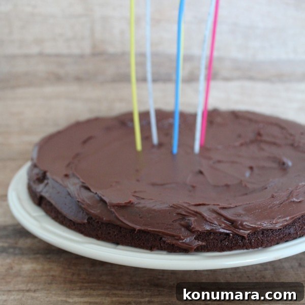 Moist Dairy-Free Gluten-Free Chocolate Cake Recipe 8 Dairy Free Chocolate Glazed Cake
