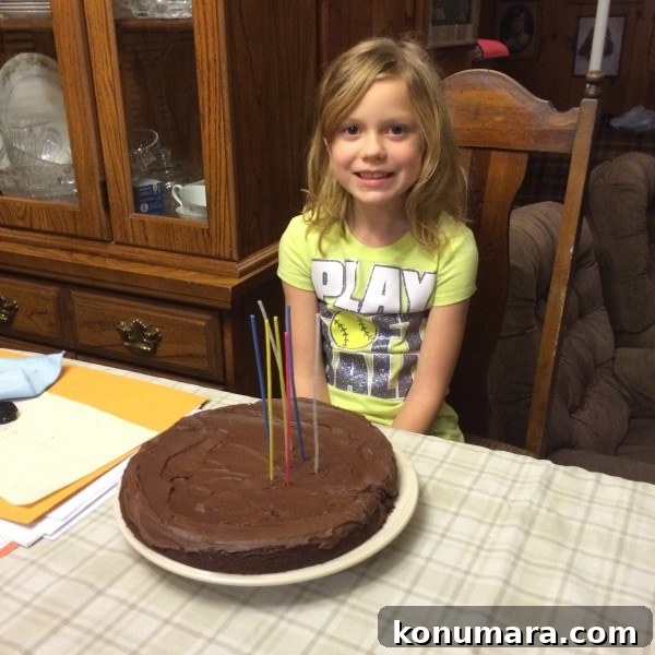 Moist Dairy-Free Gluten-Free Chocolate Cake Recipe 9 Savannah's 7th Birthday Cake