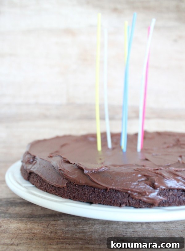 Moist Dairy-Free Gluten-Free Chocolate Cake Recipe 10 Gluten Free Chocolate Cake