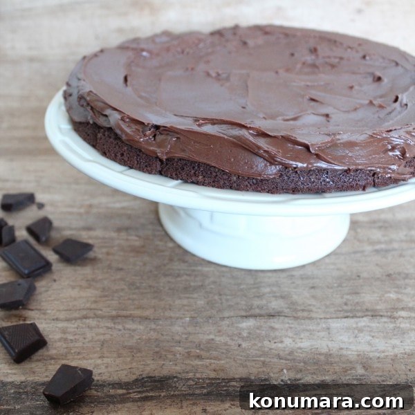 Moist Dairy-Free Gluten-Free Chocolate Cake Recipe 4 Gluten Free Dairy Free Chocolate Cake