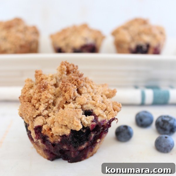 Gluten Free Blueberry Coffee Cake Muffins