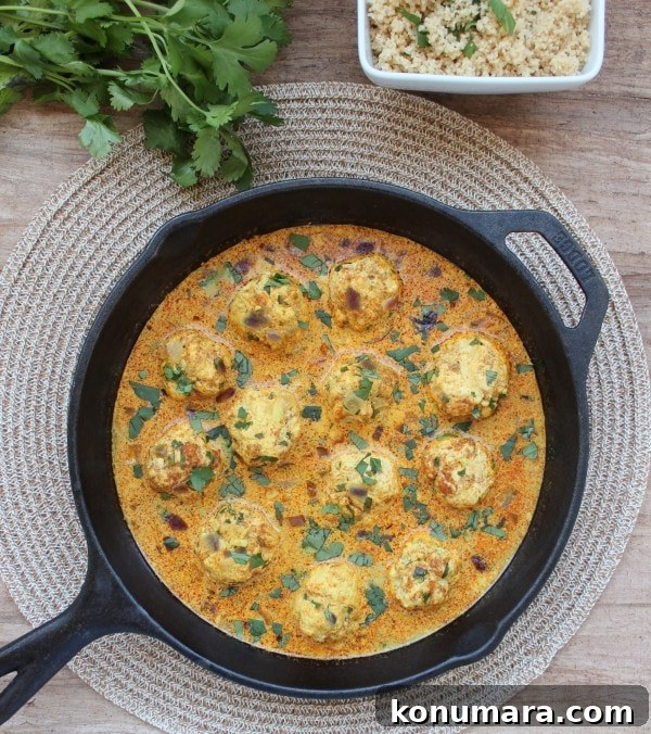 Chicken Curry Meatballs with Coconut Vindaloo Sauce