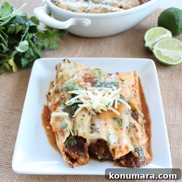 Vegetarian Mexican Manicotti Recipe