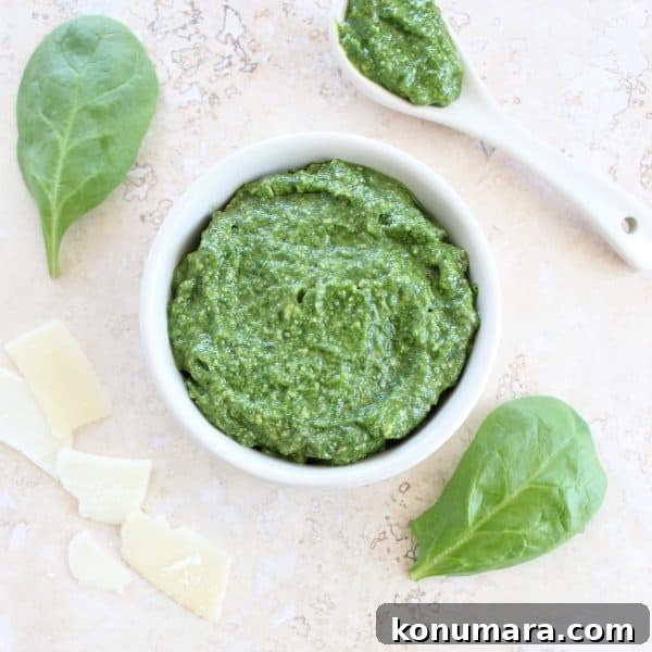 Homemade Spinach Pesto: Bright Sauce for Pasta and Sandwiches 2 Spinach Pesto Recipe