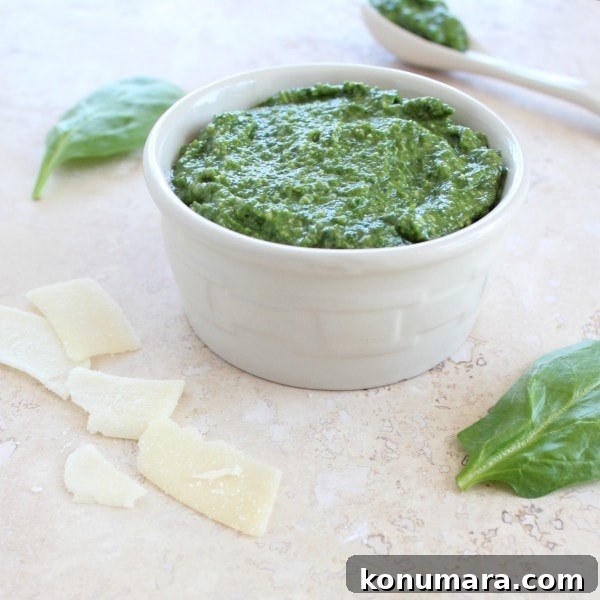 Homemade Spinach Pesto: Bright Sauce for Pasta and Sandwiches 3 Homemade Spinach Pesto