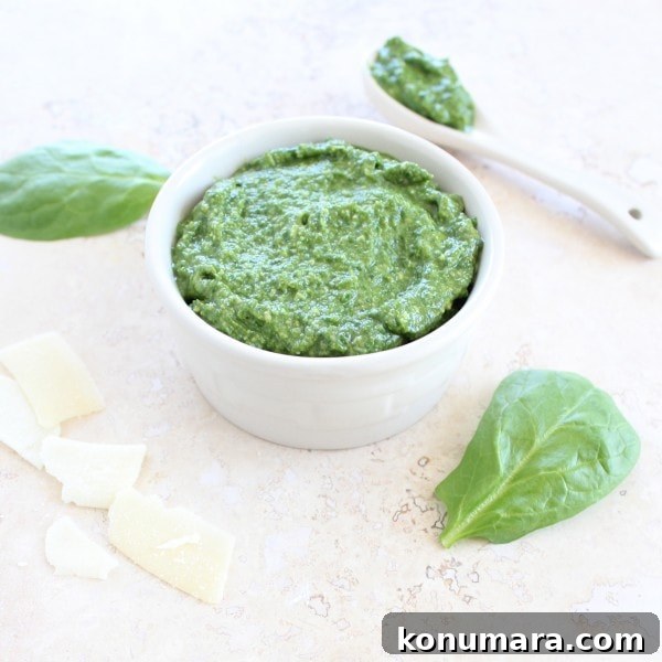 Homemade Spinach Pesto: Bright Sauce for Pasta and Sandwiches 7 Spinach Pesto Recipe