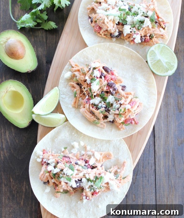 Mexican-Style Chicken Salad Tacos 3 Chicken Salad Tacos