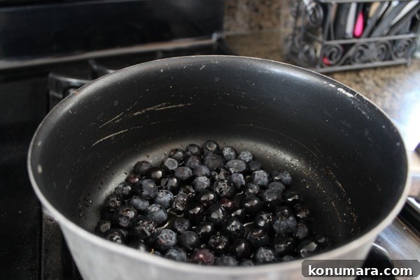 Blueberry, Goat Cheese and Pistachio Crostini Recipe 6 Balsamic Blueberry Crostini Recipe