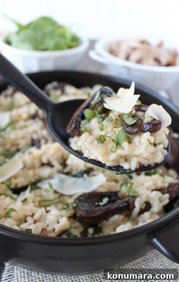 Spinach Artichoke Mushroom Risotto final