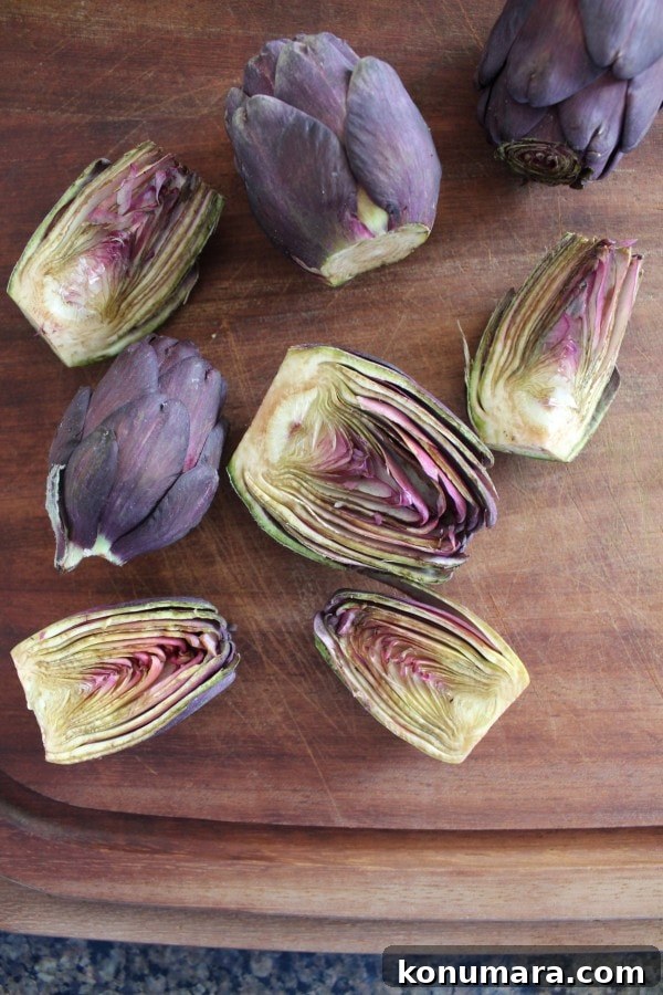 Baby Purple Artichoke