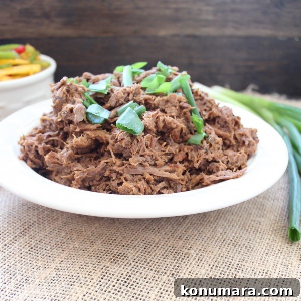 Shredded Slow Cooked Thai Beef
