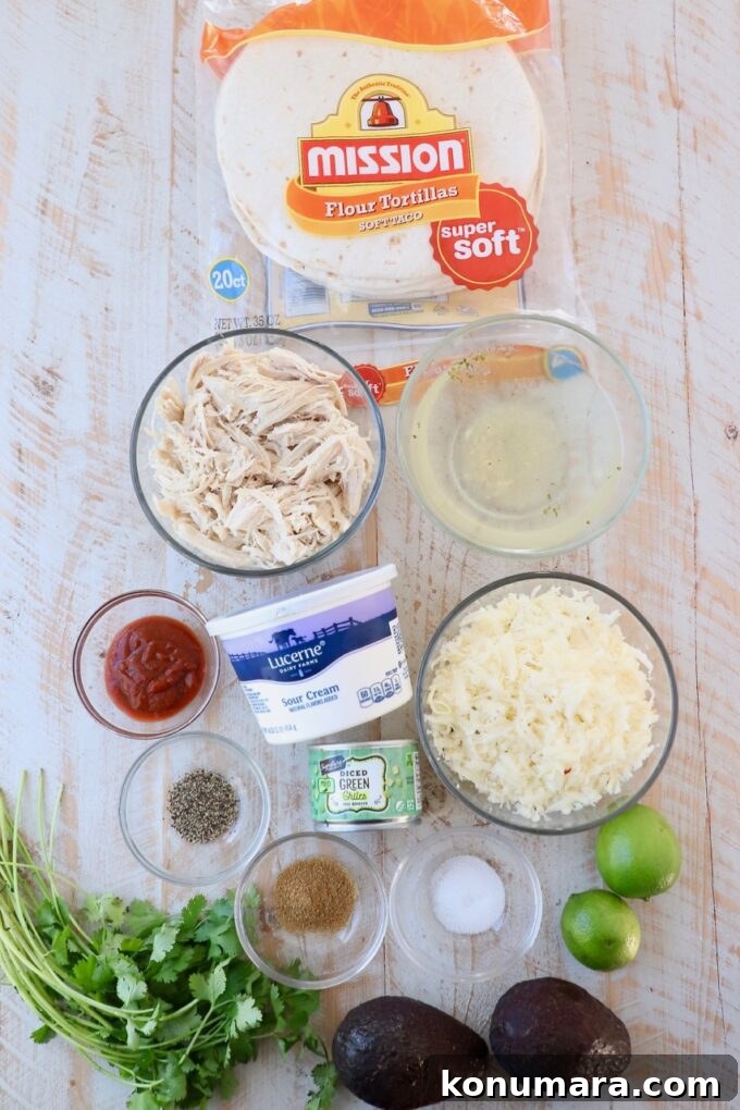 ingredients for chicken enchiladas with green sauce