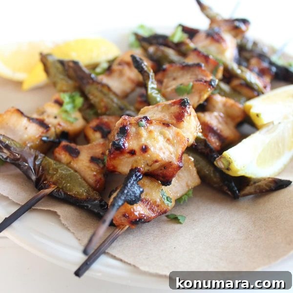 Grilled Honey Chicken Skewers