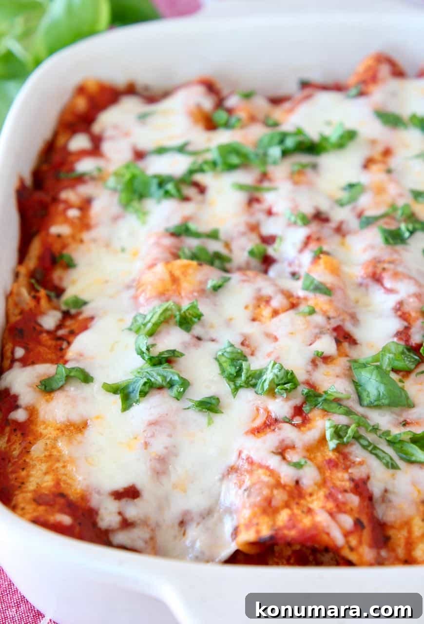 Italian Style Enchiladas with Tomato Basil Sauce 4 Italian enchiladas covered in melted mozzarella cheese and fresh basil
