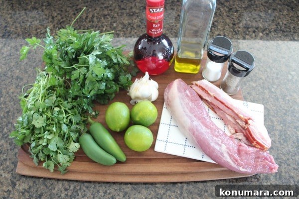 Crispy Bacon Wrapped Chimichurri Pork Tenderloin 5 Chimichurri Pork Tenderloin Ingredients
