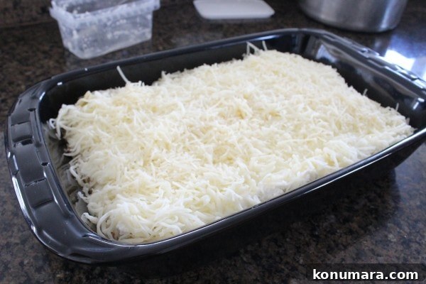 Creamy Buffalo Chicken Alfredo Lasagna 8 Buffalo Chicken Alfredo Lasagna