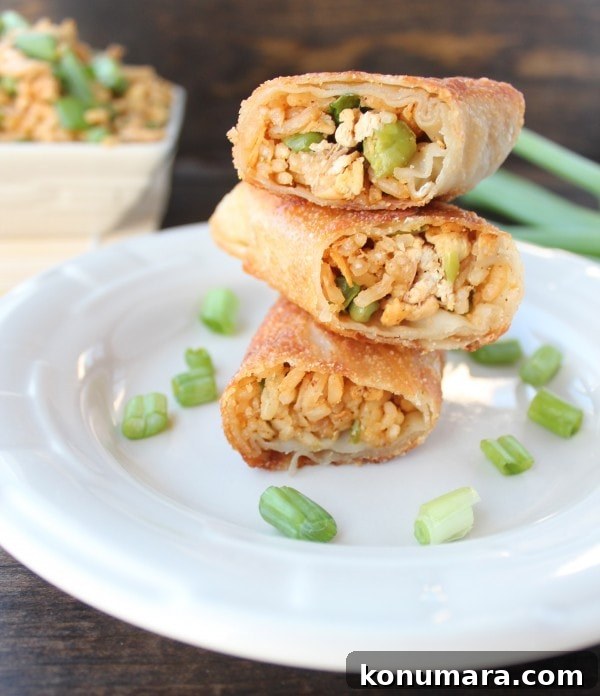 Chicken Fried Rice Egg Rolls