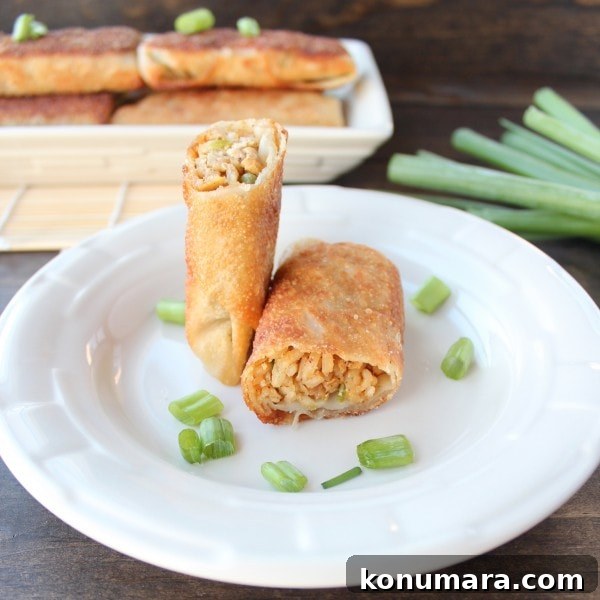Chicken Fried Rice Egg Rolls