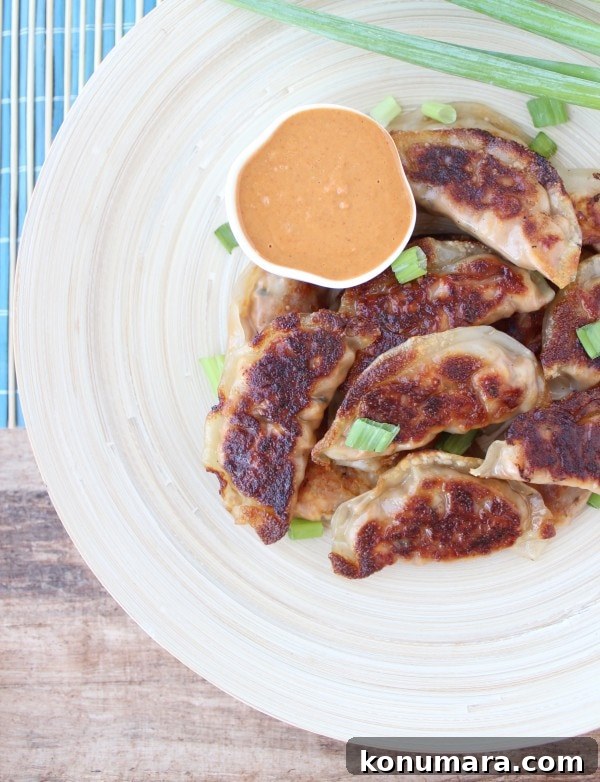 Homemade Thai Peanut Chicken Potstickers 2 Thai Peanut Chicken Pot Stickers