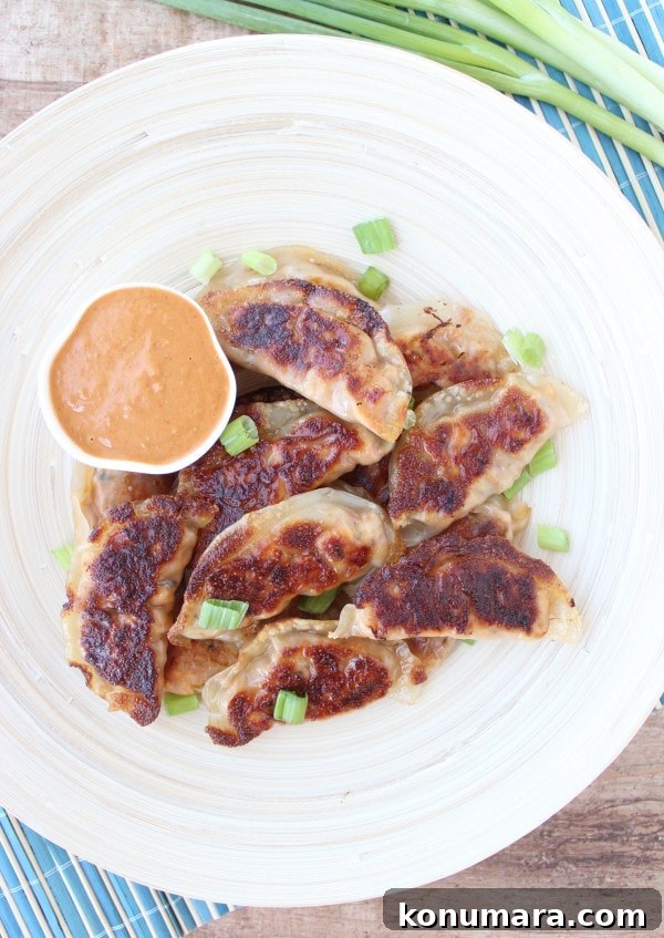 Homemade Thai Peanut Chicken Potstickers 6 Thai Peanut Chicken Pot Stickers